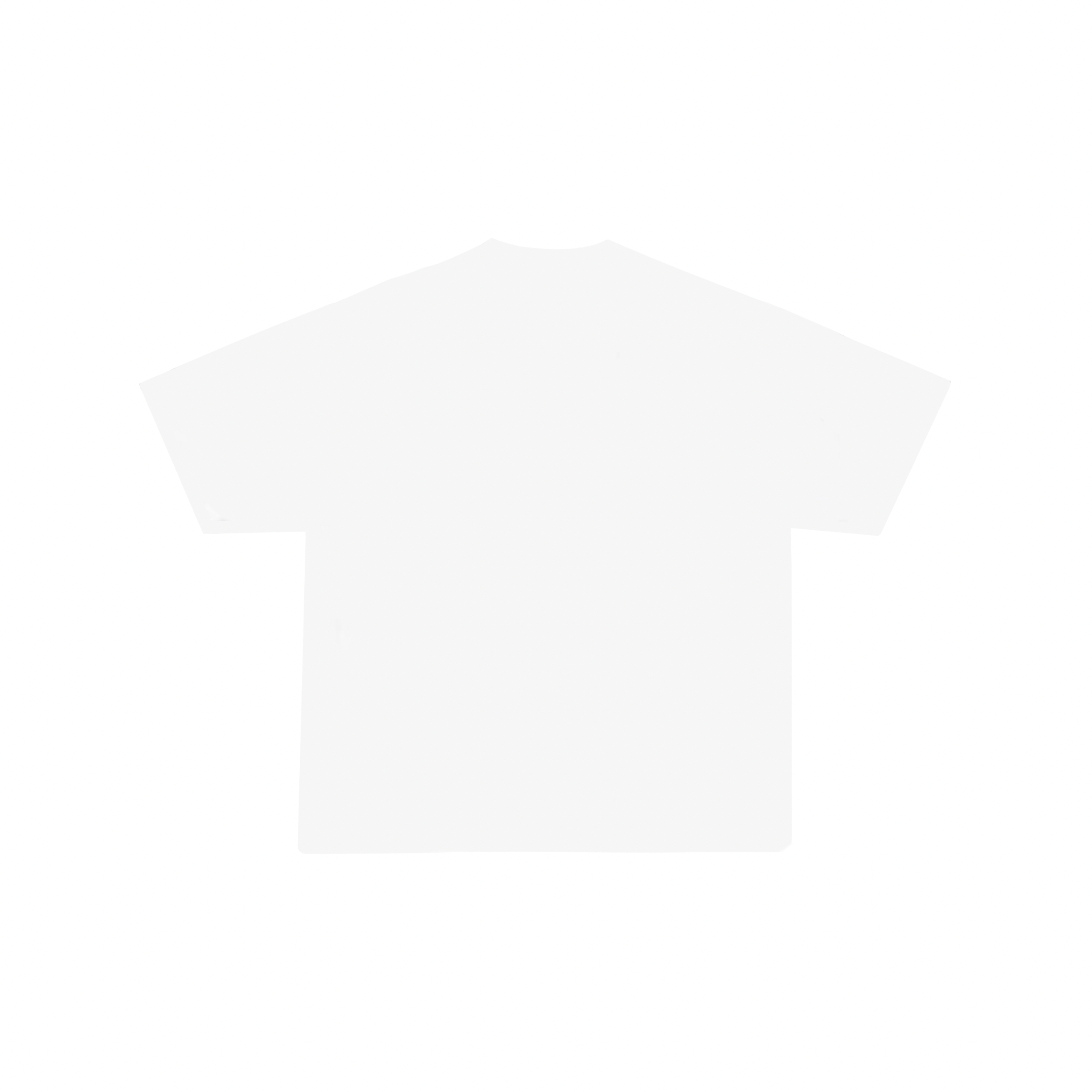 Basic Plain TS (White)
